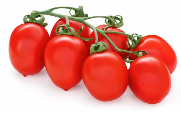 تصویر 3 از خرید گوجه زیتونی گلخانه ای + قیمت عالی باکیفیت
